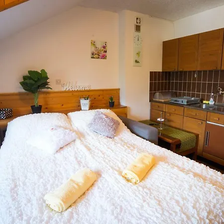 Studio Sky Apartment Kranjska Gora
